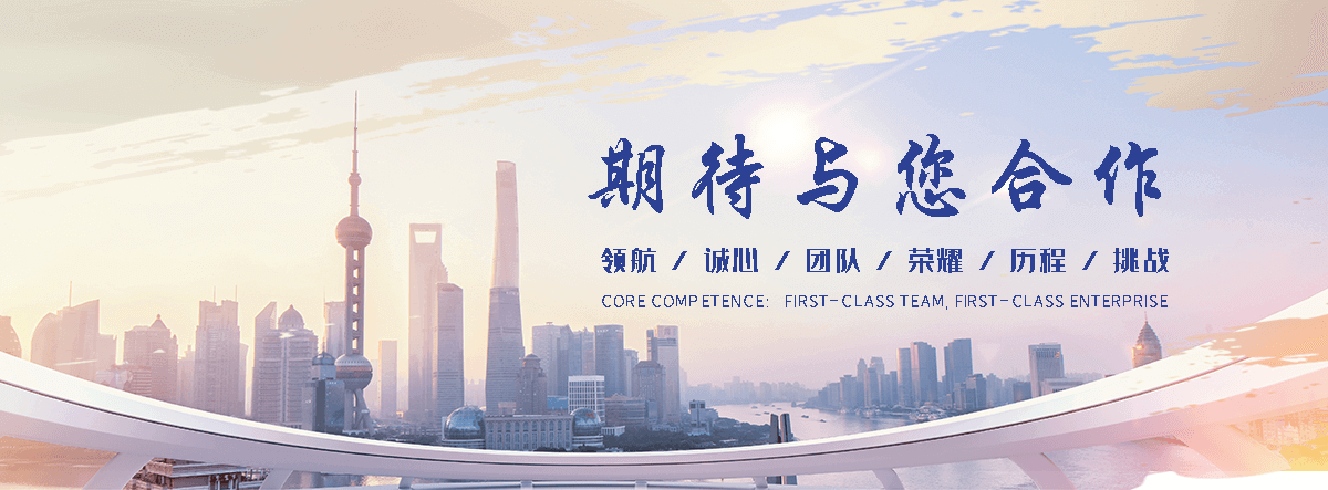 丰县海狮租赁公司